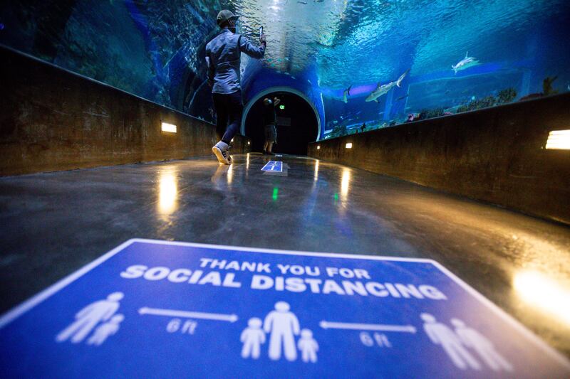 People visit the Loveland Living Planet Aquarium in Draper on Saturday, May 9, 2020. The aquarium reopened to guests with entry times beginning at 10 a.m. to the last entry time at 7 p.m., and online ticket purchasing amid the COVID-19 pandemic. Signs throughout the aquarium encourage visitors to wear masks and practice social distancing.