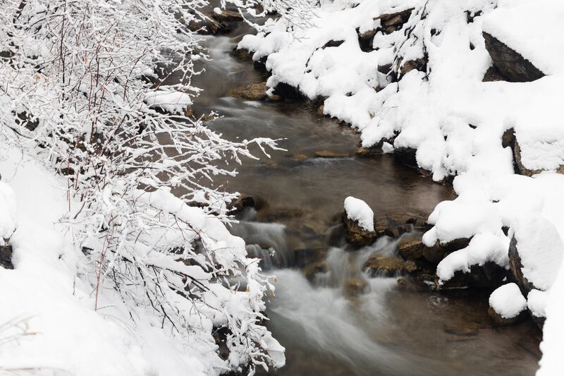 Snow falls around Mill Creek at Mill Creek Canyon in Salt Lake City on Monday, April 3, 2023.