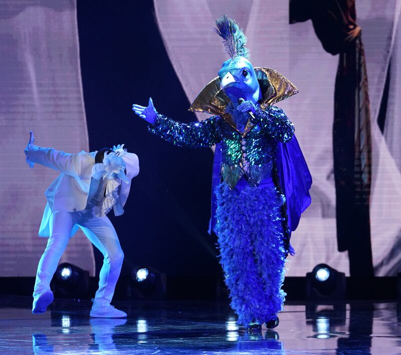 Peacock appears in the “Touchy Feely Clues” episode of Fox's "The Masked Singer" airing Wednesday, Feb. 6, 2019.