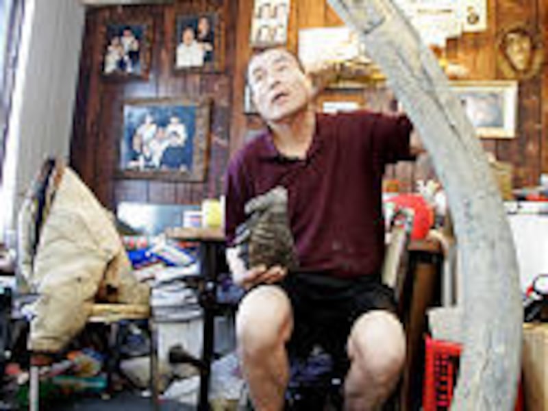 Charles Foster displays his collection of mammoth tusk and teeth at his home in Kotzebue, Alaska. He has harvested mammoth fossils for 15 years.