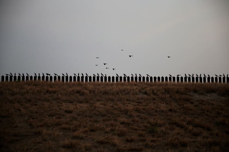 Birds perch atop and fly above the U.S.-Mexico border fence on a hazy day.