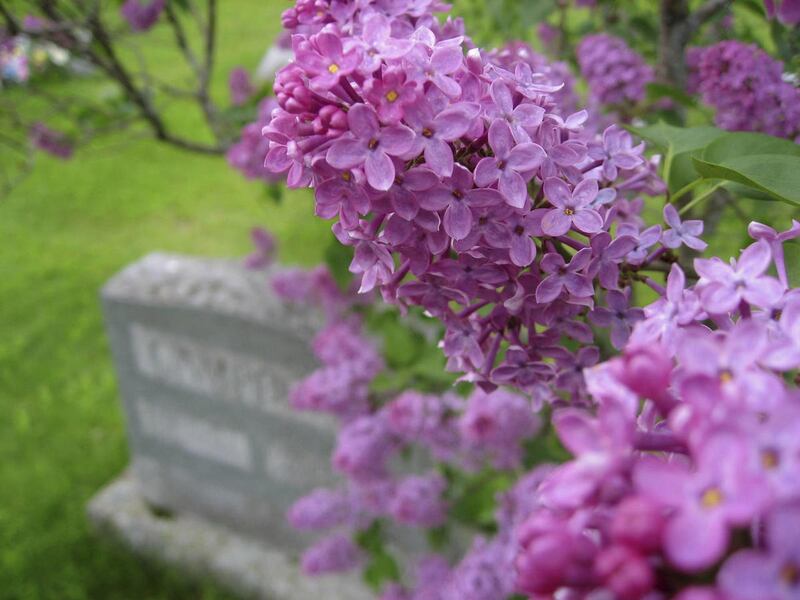 Memorial Day is a time for remembering, with flowers representing what Henry Wadsworth Longfellow called "the forget-me-nots of the angels"  — or, in some cases, smelly irises and lilacs.