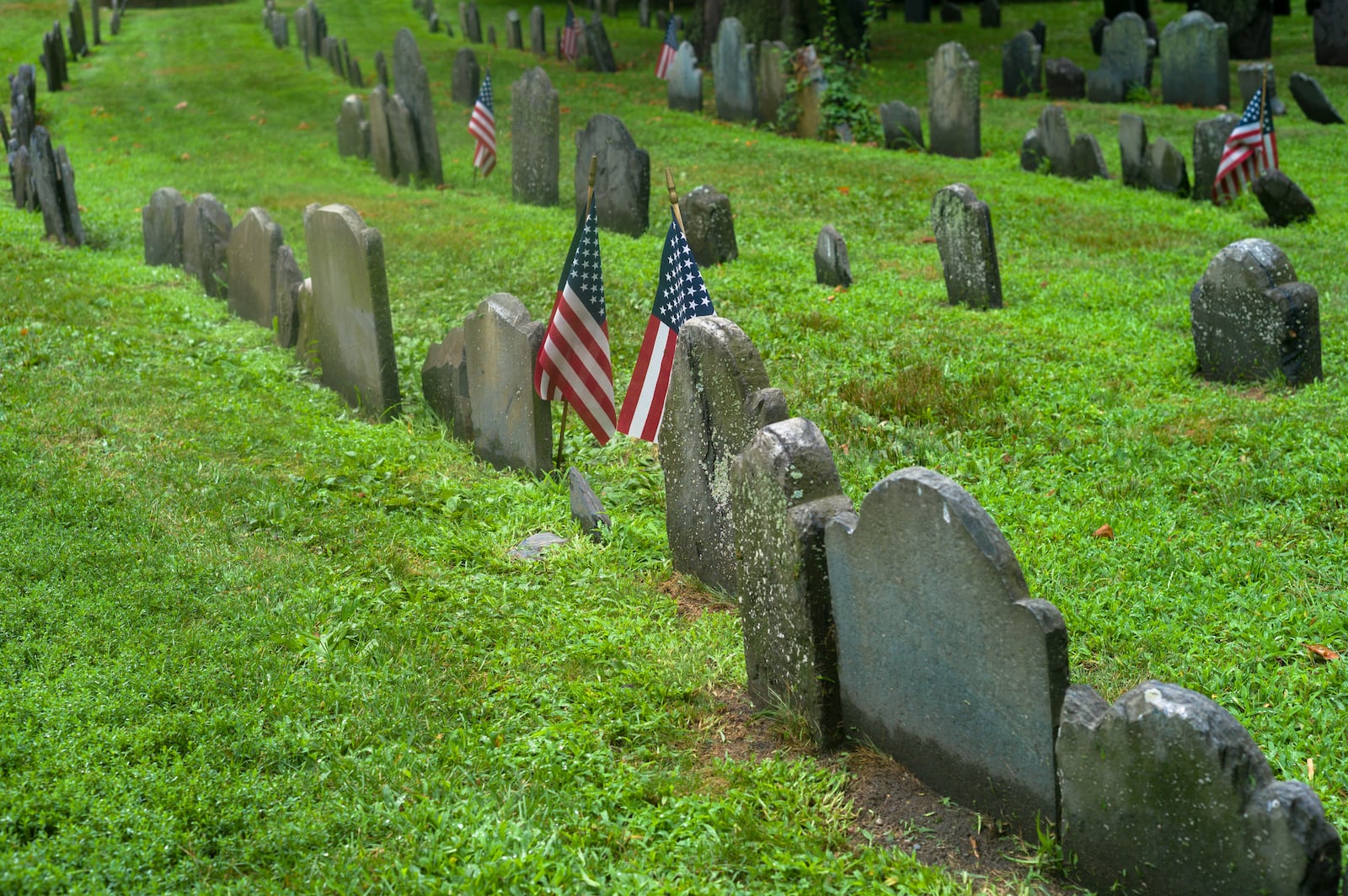 A West Valley cemetery employee has been charged with selling two burial plots that had been donated to help a needy family.