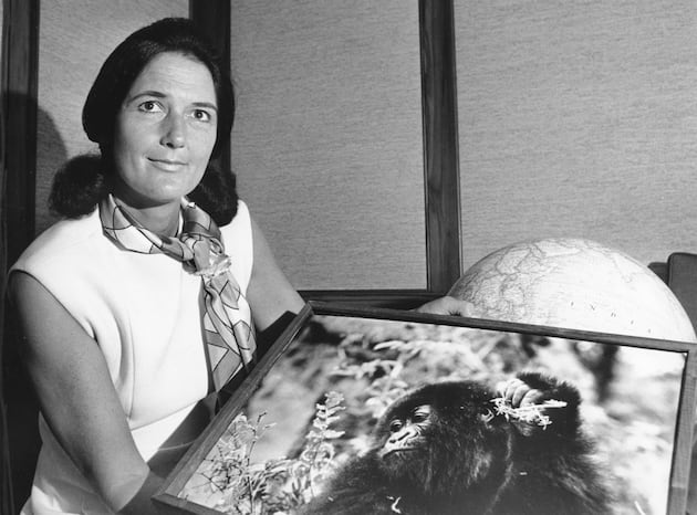 Deseret News archives: Dian Fossey gave her all to save the gorillas