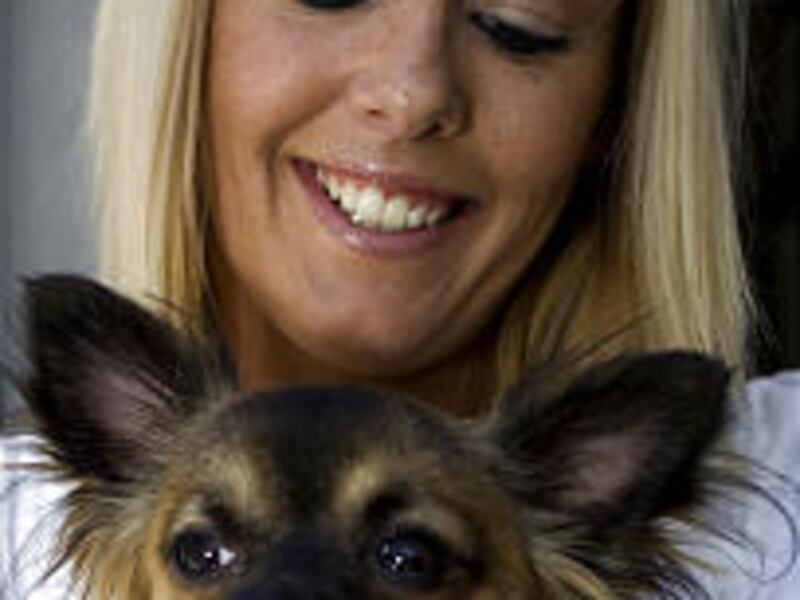 Howard Dean hopes for presidential endorsement from the Service Employees International Union. Announcement will come Wednesday.