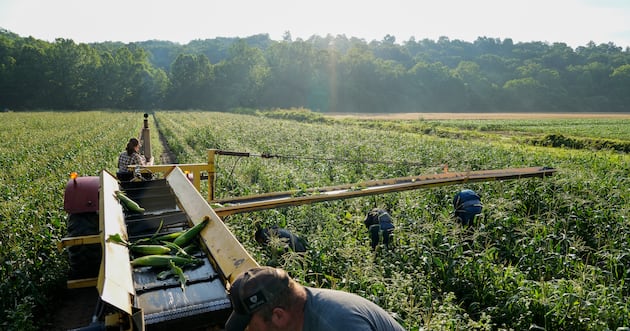 Online hawks called Sen. Curtis’ migrant worker bill ‘amnesty.’ Here’s what local GOP voters actually think