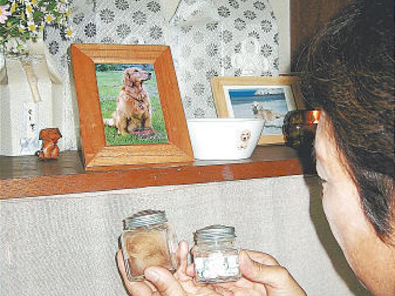 Yoneko Tanaka looks at a photo of her golden retriever who died last spring and holds jars of its teeth and hair.