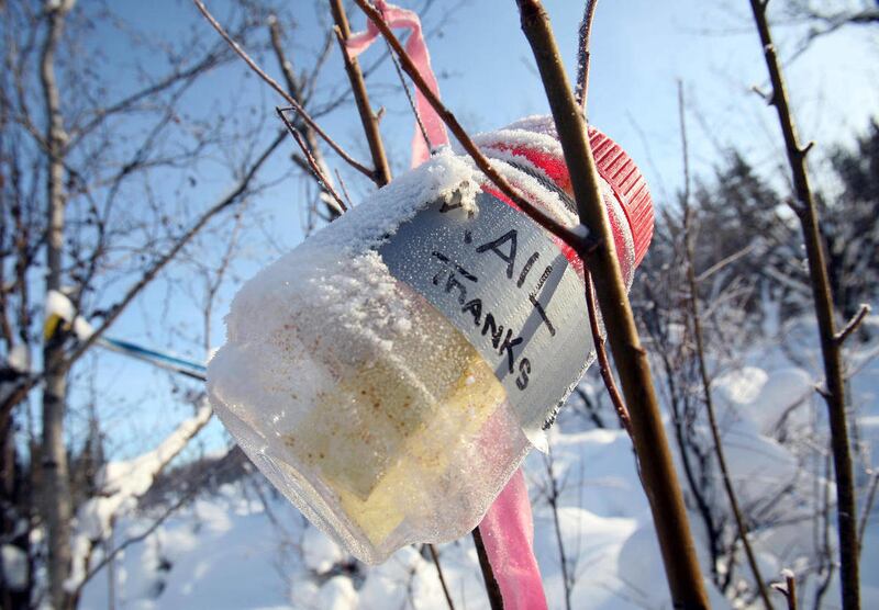 In this photo taken Feb. 16, 2011, River Mike Cranford refers to a plastic jar hanging from a small tree he uses to send letters via passing boaters as his "Blueberry", joking "I need to get more apps for my Blueberry," at his wall tent camp along the Nor