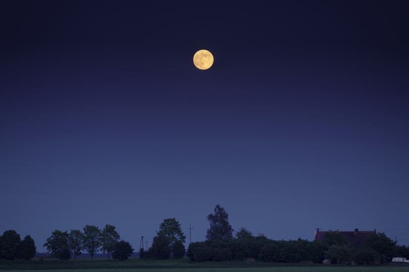 FILE - Ever encounter a ghost? You just might during a sunset hike and ghost hunt at Antelope Island State Park on Friday, Nov. 30.