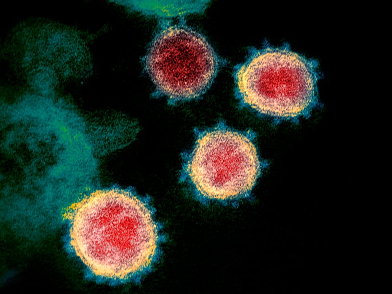 Photo of the coronavirus.