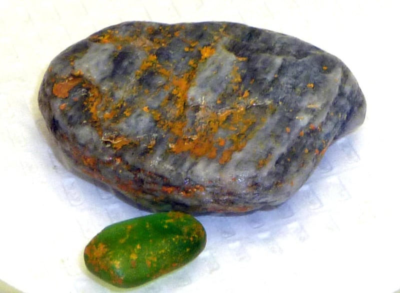 This image provided by the Orange County Health Care Agency shows rocks picked up on a Southern California beach by a woman, which later ignited inside the woman's shorts, leaving her with severe burns. Authorities say phosphorous may have coated these b