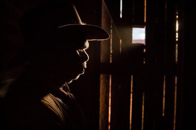 Hamilton Morris in “Sweet Country.”