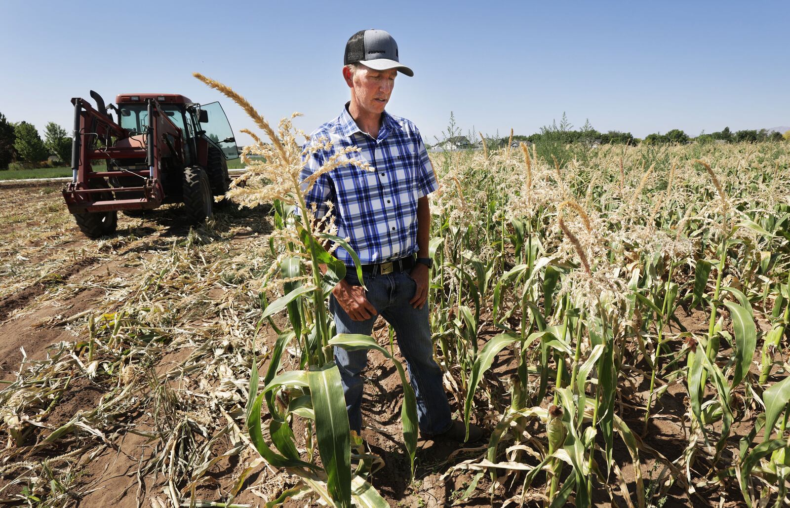 Tyson Roberts, of Roberts Family Farms, talks about how the drought is affecting his farm in Layton on Friday, July 16, 2021. Gov. Spencer Cox said Tuesday it’s important for leaders to focus on science and evidence to craft policy to address environmental issues.