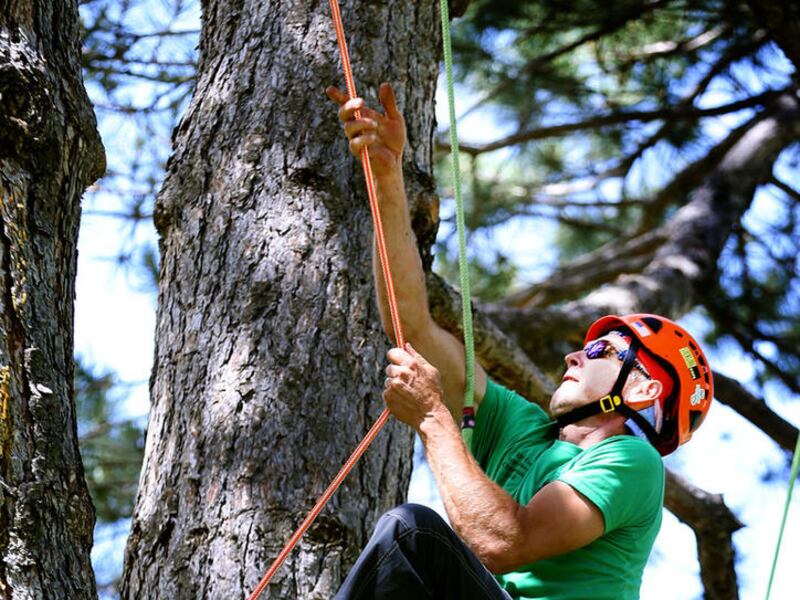 Tree climbing competition brings arborists from across state Deseret News Tree climbing competition brings arborists from across state Deseret News