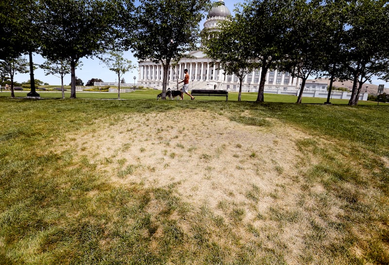 A dry patch of grass on the grounds of the Capitol in Salt Lake City.