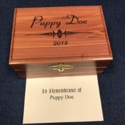 Police said the dog found dead in the yard outside a Pleasant Grove house where a deceased man was discovered was a chihuahua that at one time had been adopted from a shelter. In a Facebook post on Thursday, Aug. 30, 2018, police said they nicknamed the d