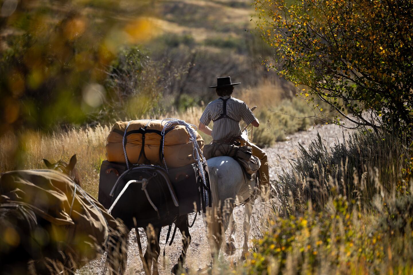 Why this Utah horseman is riding 3 mustangs across the U.S. and back ...
