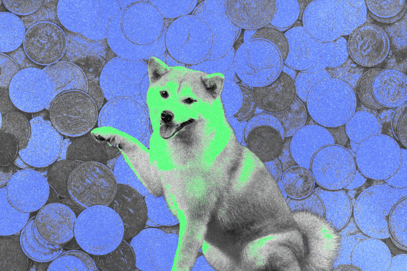 The Shiba Inu dog, the meme for the Shiba Inu token, a former of Shib cryptocurrency.