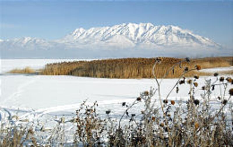 One of Utah's legends concerns Mount Timpanogos and an Indian maiden. The legend says that an Indian maiden, Utana, committed suicide by throwing herself off the mountain in Romeo-and-Juliet fashion after her true love, Red Eagle, died from injuries he su