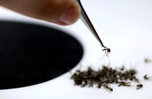 Readers’ Forum: Raising local climate awareness for West Nile Virus