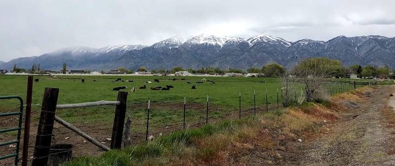 The former railroad mecca of Corinne, Utah, is now mostly a farming town.