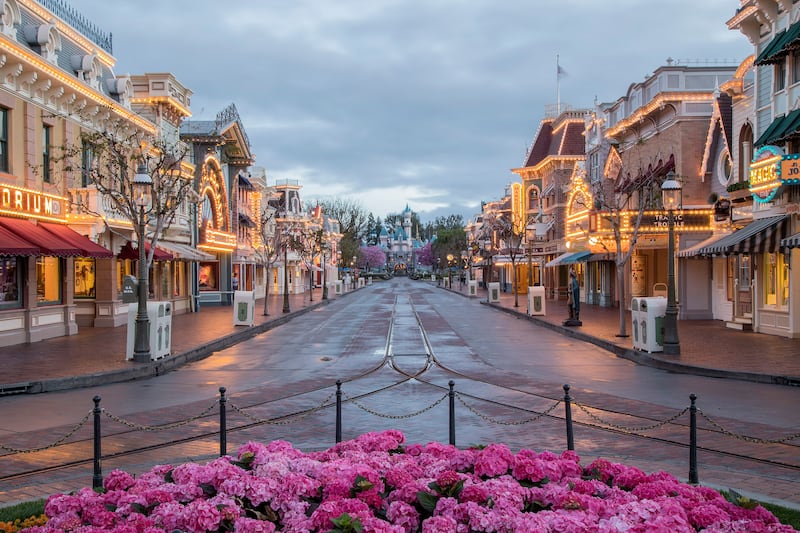 Main Street, U.S.A. at Disneyland Park has a new look with bricks lining the street for the new horse-drawn streetcar track. Guests can enjoy the beautiful enhancements while strolling down the iconic thoroughfare or riding aboard Main Street, U.S.A. vehicles. This is the first time the horse-drawn streetcar track has been replaced in its entirety.