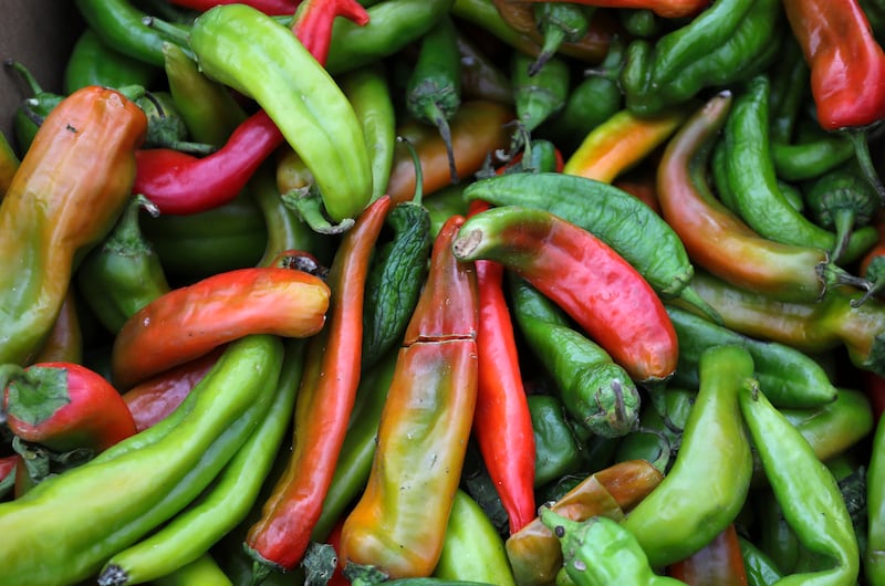 40% of college students face food insecurity currently in the U.S.