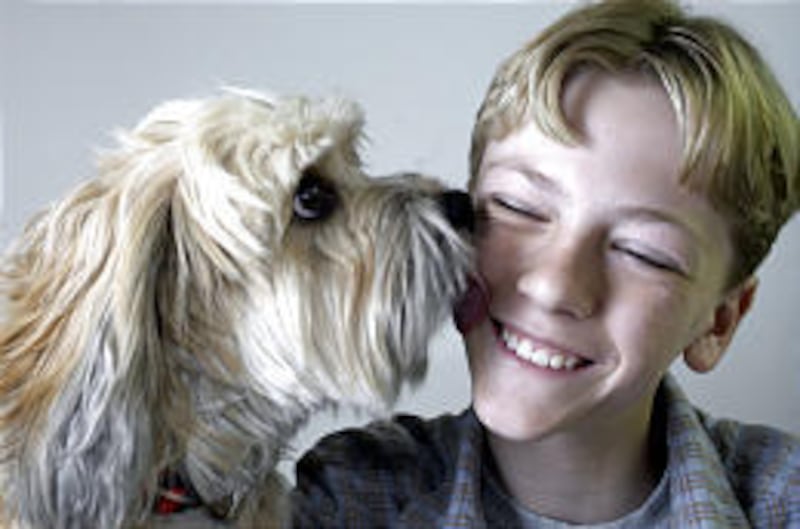 Co-stars Benji, a female mixed-breed terrier, and Nick Whitaker appear to have formed a good working relationship in "Benji: Off the Leash!"