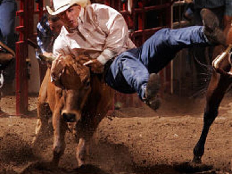 Jon Ragatz of Cassville, Wis., competes in the steer wrestling competition of the Days of '47 Rodeo.