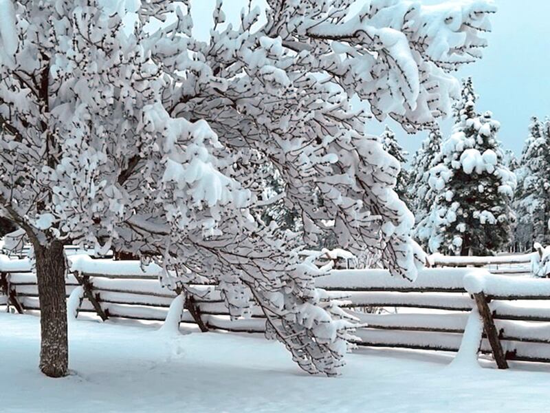 Flaming Gorge Resort had 11 inches of snow overnight.