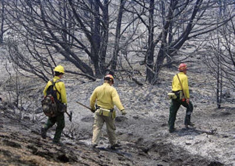 Firefighters head for a hot spot near Cove Fort during the Milford Flat Fire in July. The fire burned 363,000 acres, the largest blaze in Utah history. The state is purchasing seed to revegetate the area.