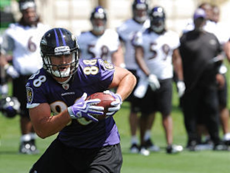 Dennis Pitta had his first official workouts with Baltimore last week.