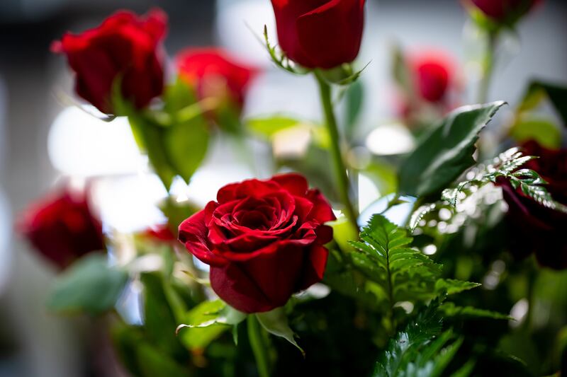 An arrangement of roses is pictured at Brown Floral in Holladay on Tuesday, Feb. 8, 2022.
