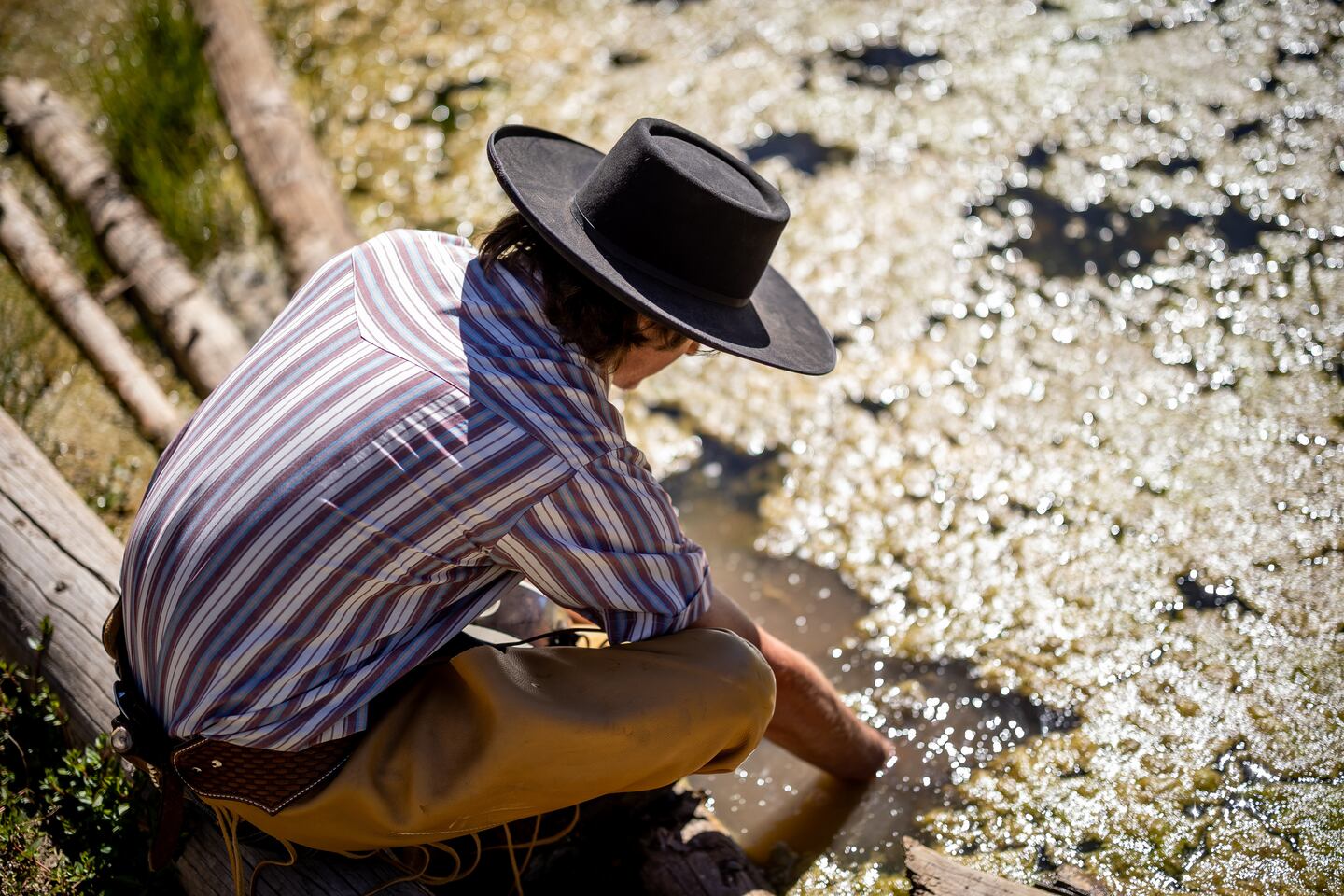 Why this Utah horseman is riding 3 mustangs across the U.S. and back ...