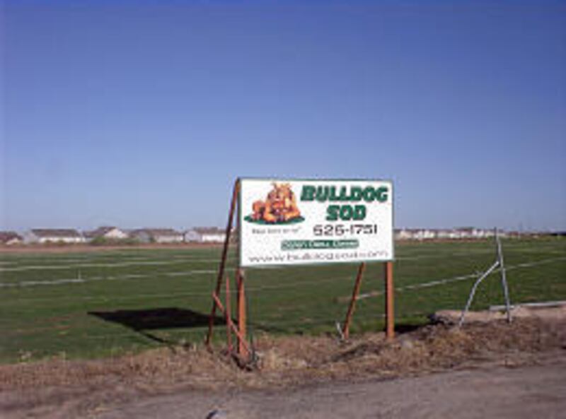 Housing is popping up near the Bulldog Sod Farm in Layton, so the owners constantly look for land to lease.