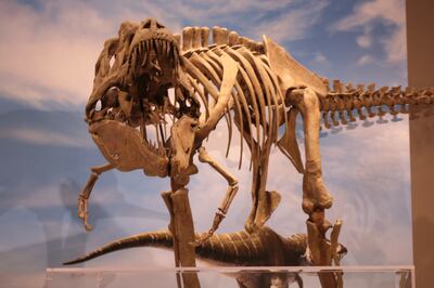 DinoFest will be at the Natural History Museum of Utah in Salt Lake City on Jan. 20 and 21, 2018.