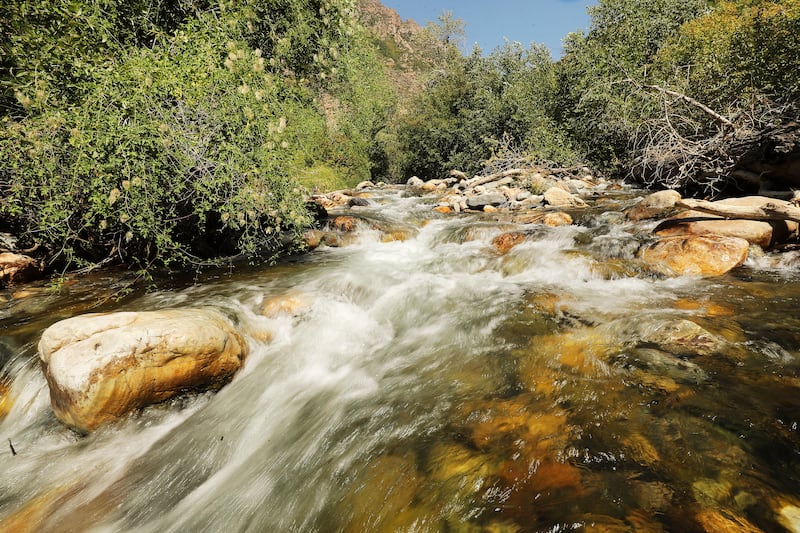 Water flows through Big Cottonwood Canyon.