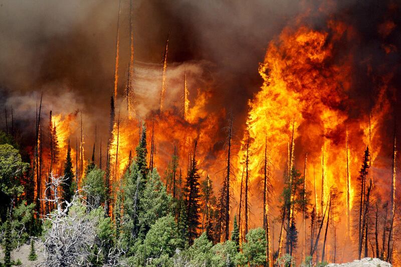 FILE - _The Brian Head Fire burns on Friday, June 23, 2017._