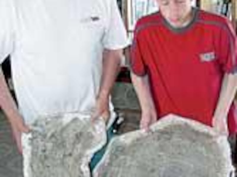 Dan Court and Frank Kobrin display the restored fossils of a crocodile head and the shell of a fresh-water turtle found in the former Granita Park area of Duchesne County.