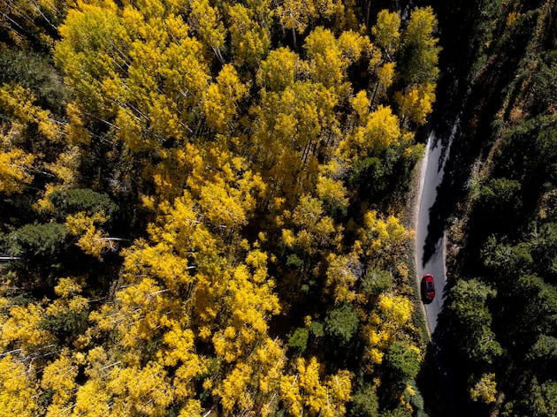 Opinion: Don’t blame 'overgrown forests' for human-caused problems