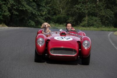 Enzo and Milo Ventimiglia in Twentieth Century Fox’s "The Art of Racing in the Rain."