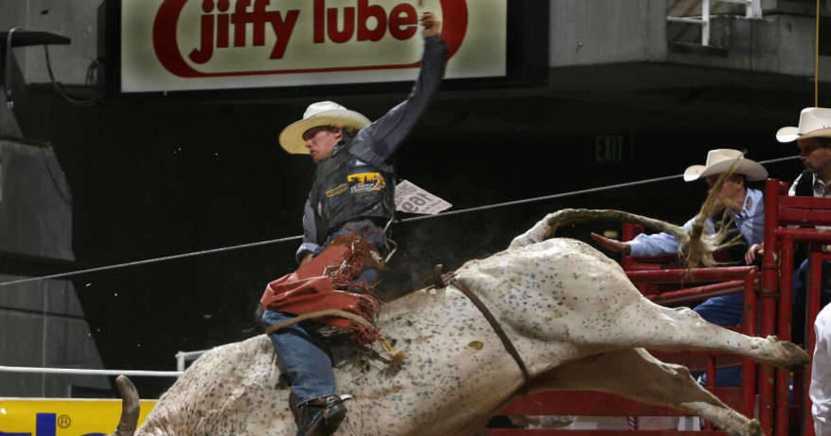 Bull Rider Tag Bull rider Tag Elliott triumphs against the odds — again – Deseret News
